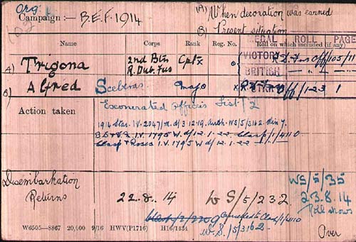 trigona medal card