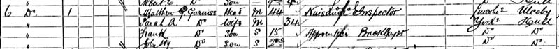 1901 census