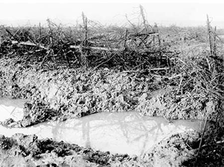 barbed wire and mud