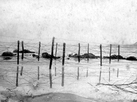 Dead soldiers on the wire